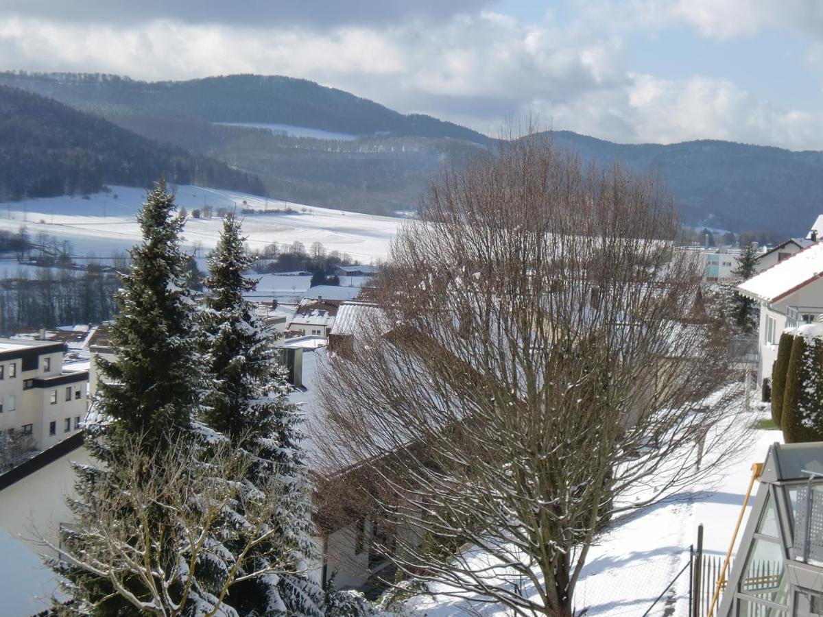 Zollern-Alb Aktiv Lägenhet Albstadt Exteriör bild